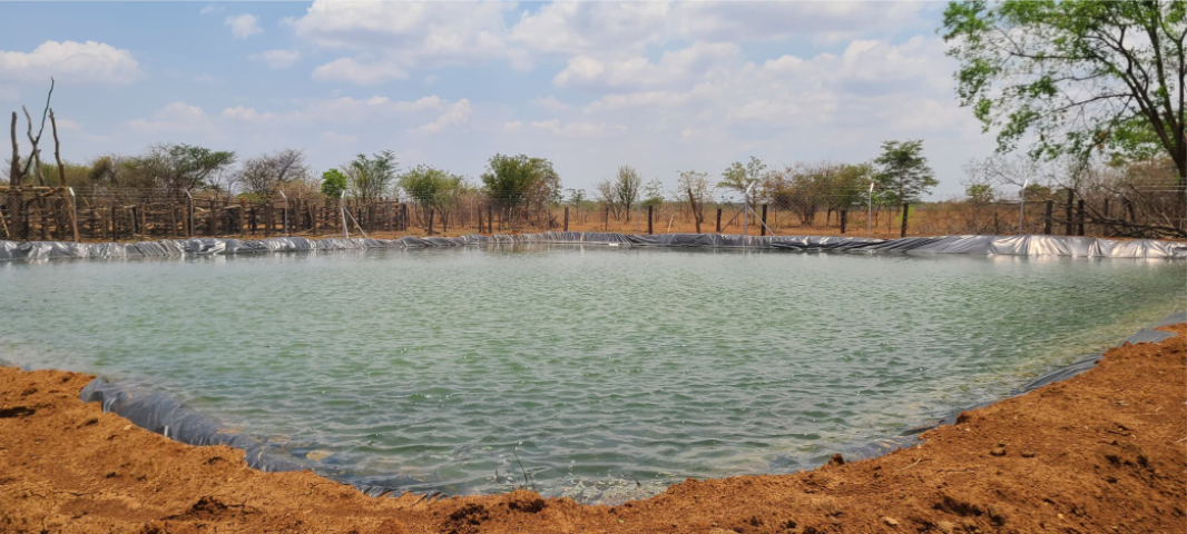 Fish Pond Management Zimbabwe